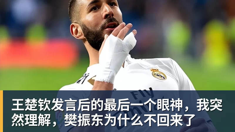 王楚钦发言后的最后一个眼神，我突然理解，樊振东为什么不回来了